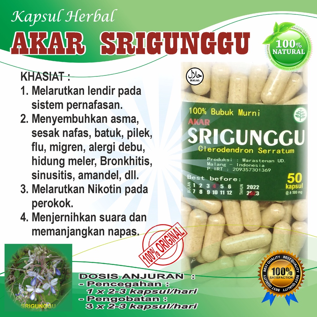 AKAR SRIGUNGGU 50 kapsul GURAH / ALERGI DEBU BATUK PILEK FLU PENJERNIH SUARA - PELARUT NIKOTIN dll.