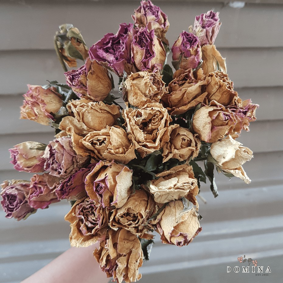 ASLI 1 tangkai mawar kering small