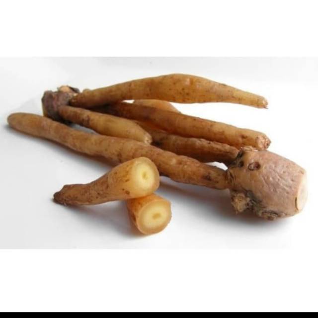 

Temu kunci 150gr