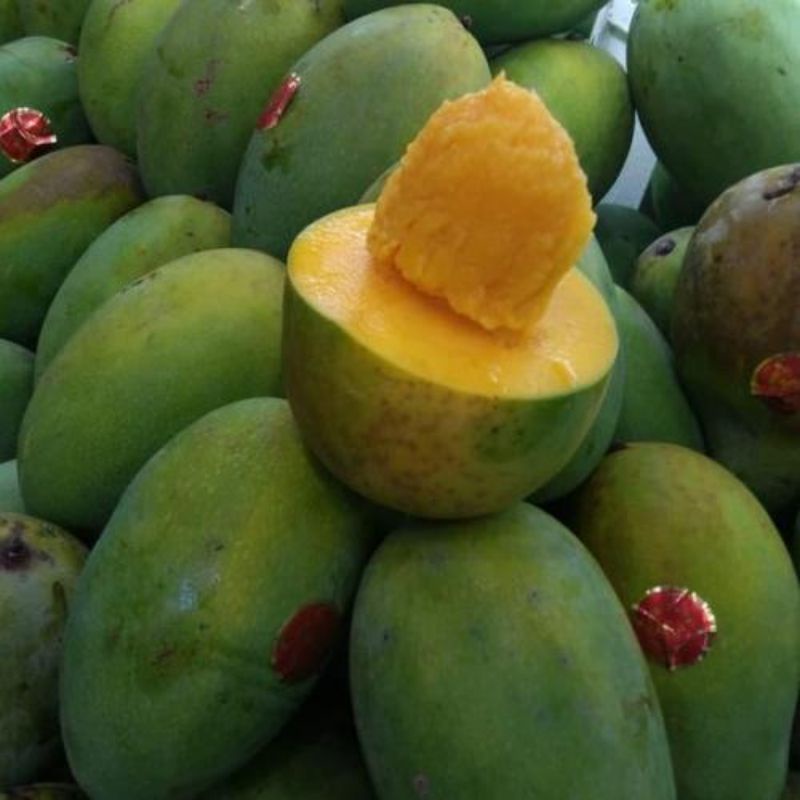 Mangga Buah Mangga Harum Manis Segar 1 kg SAYUR GEDEBAGE PRAKTIS BANDUNG