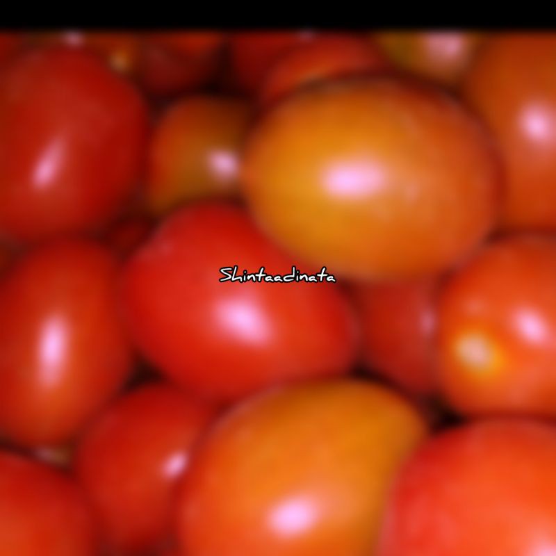 

Tomat fresh