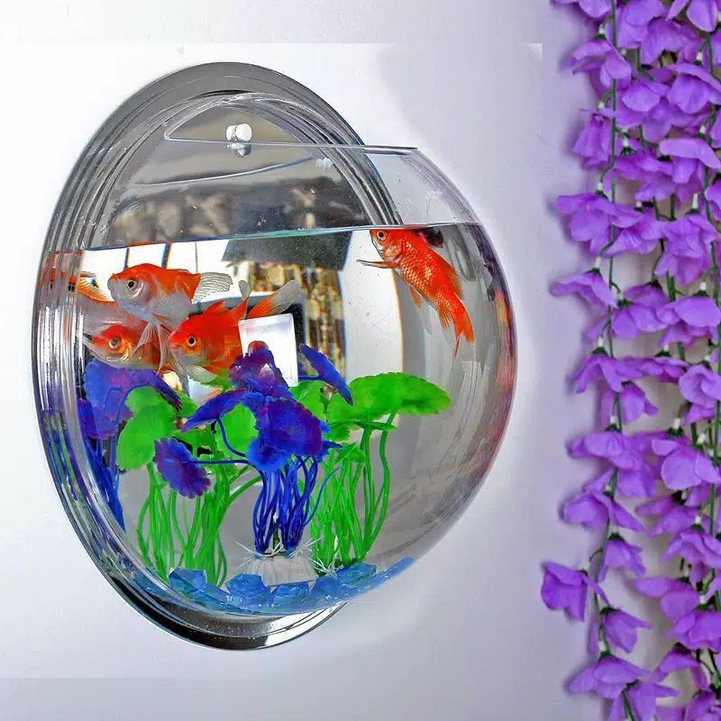 Aquarium Tempel Akuarium Dinding Tanaman,Ikan Hias Cupang Diameter 20cm