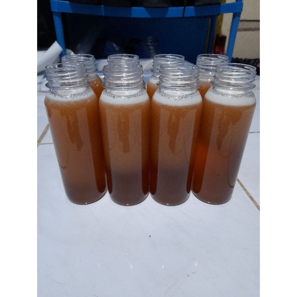 

madu klanceng