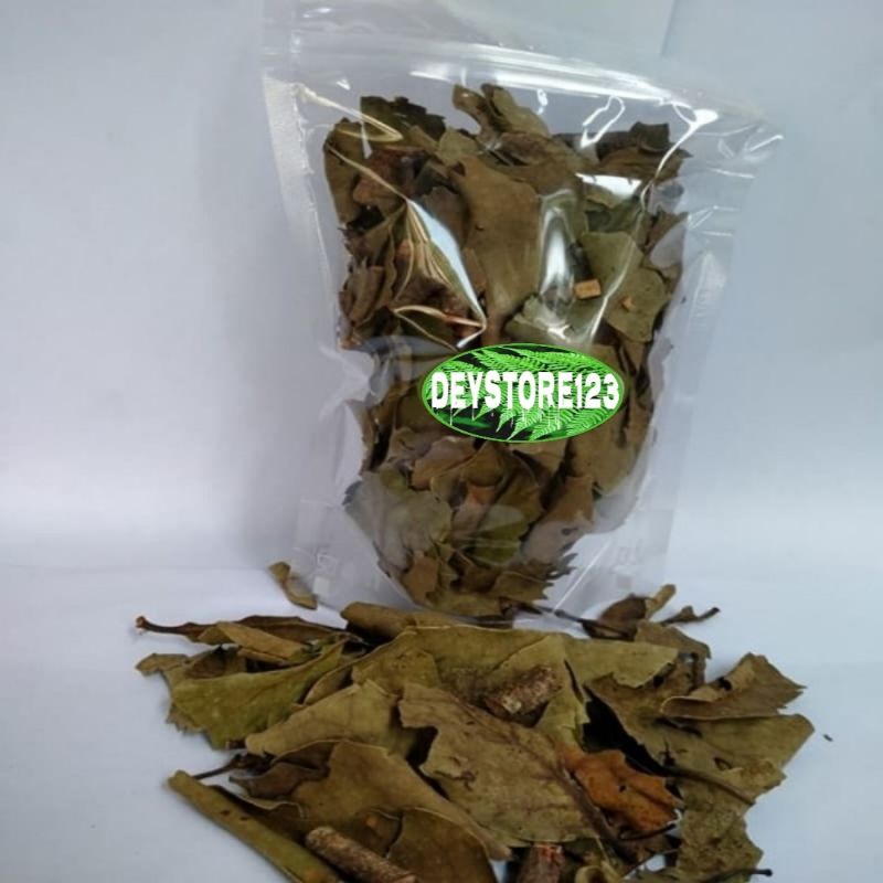 

Terlaris Daun Benalu jeruk kering 500 grm