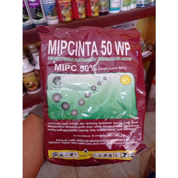 MIPCINTA 50WP 500GR