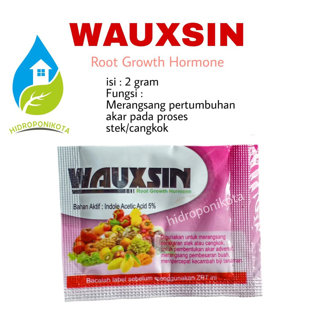 zpt WAUXSIN isi 2 gram - zpt akar hormon akar - zat penumbuh akar - zpt wauxin - hormon penumbuh akar - hormon akar