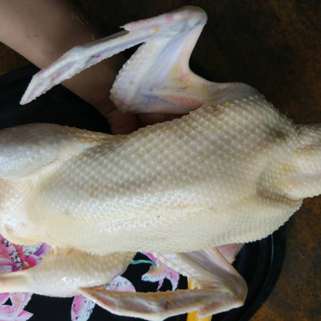 

Bebek Potong Segar