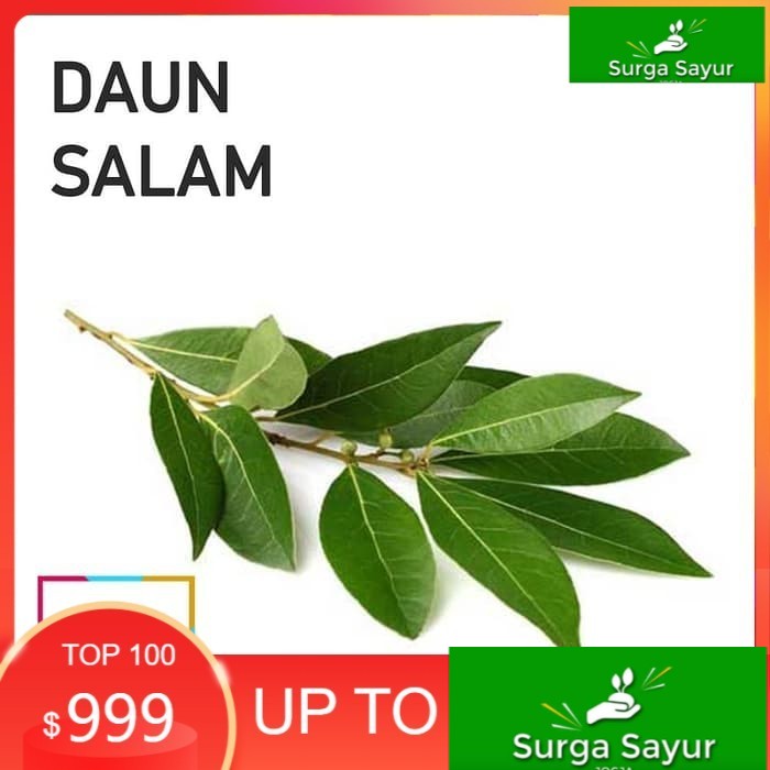 

SURGA SAYUR DAUN SALAM [25g] SEJABODETABEK BISA KIRIM INSTANT DGN GOSEND/ GRAB