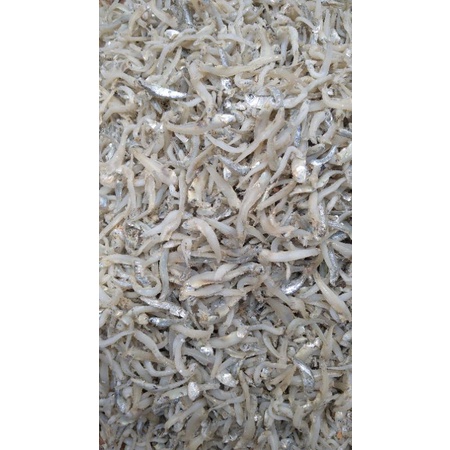 

TERI BUNTIO KUALITAS PREMIUM