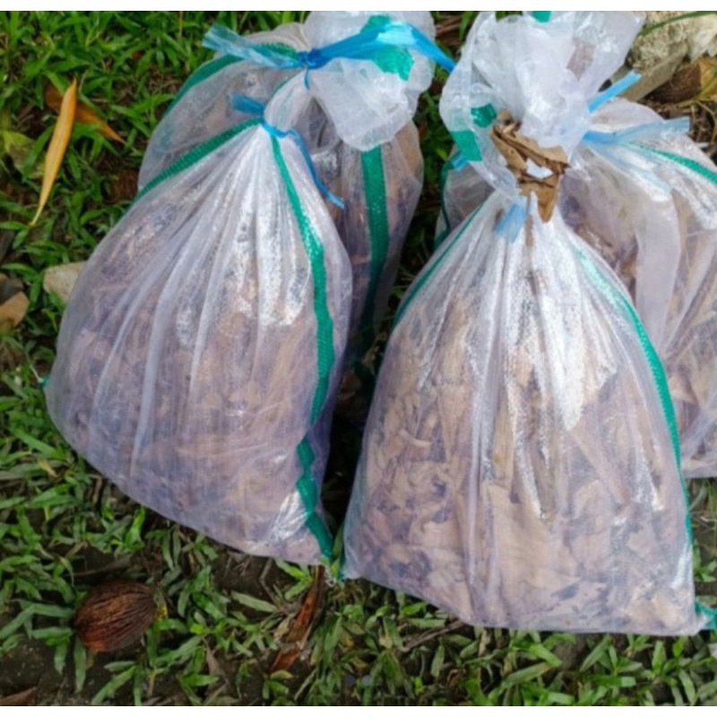 Jangkrik Alam Hidup ¹/² kg