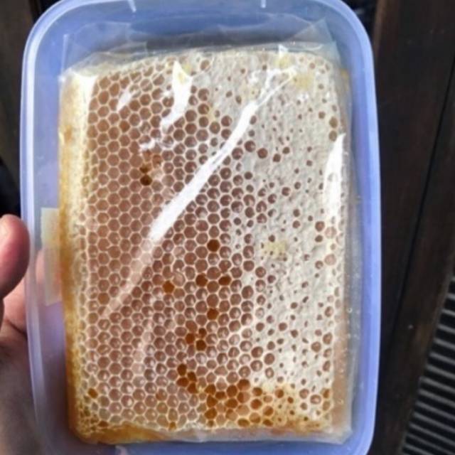 

Sarang Madu Mellivera