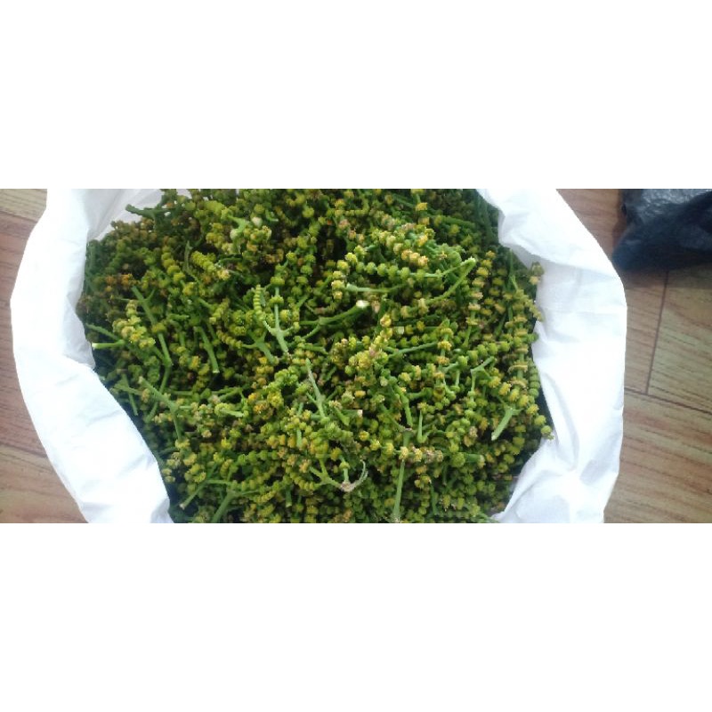 

Uceng Suceng Kembang melinjo 250 gr
