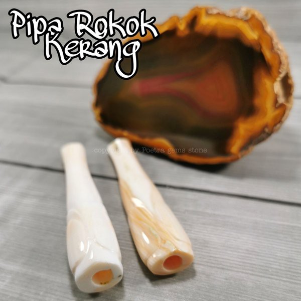 Pipa  Kerang Asli Rasa Gurih Dan Nikmat