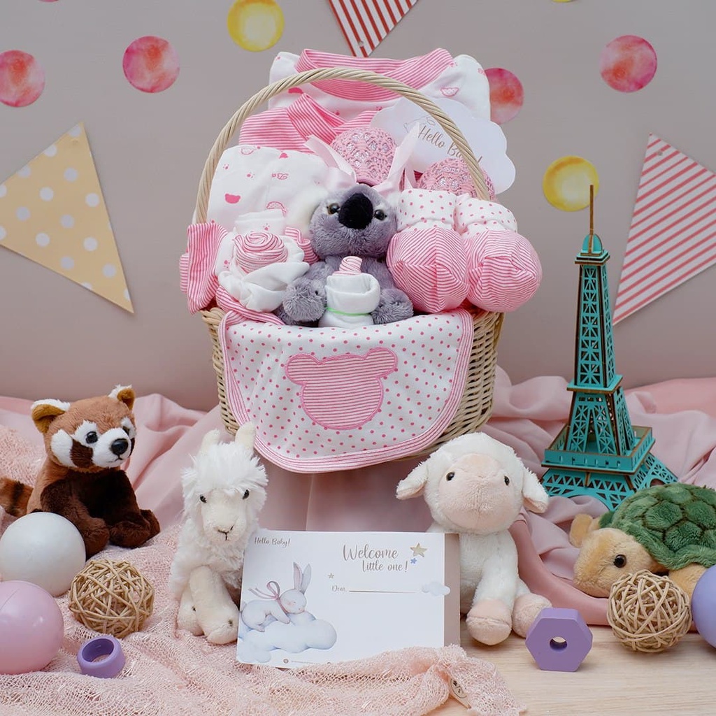 BARU LIO034 (Girls) Parcel Premium Hello Baby Hampers Gift 0-12 months