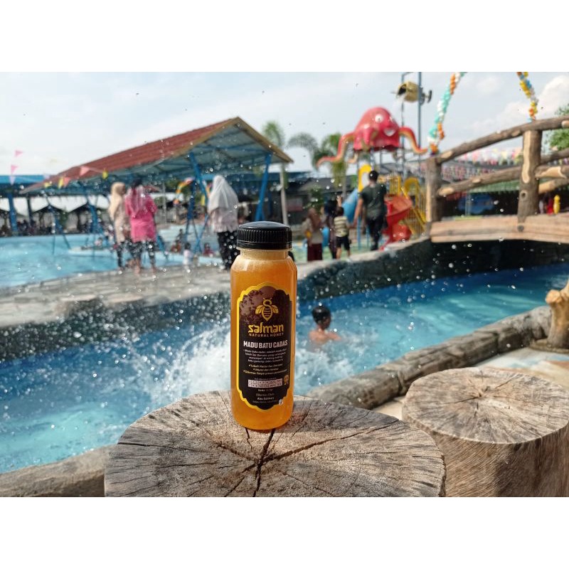 

madu hutan liar lebah dorsata