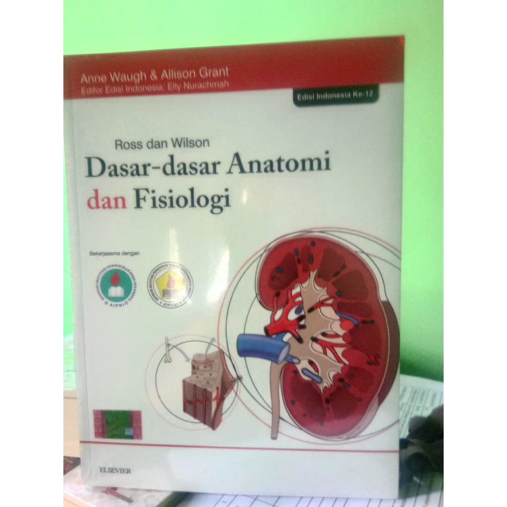 Dasar Dasar Anatomi dan FIsiologi Manusia