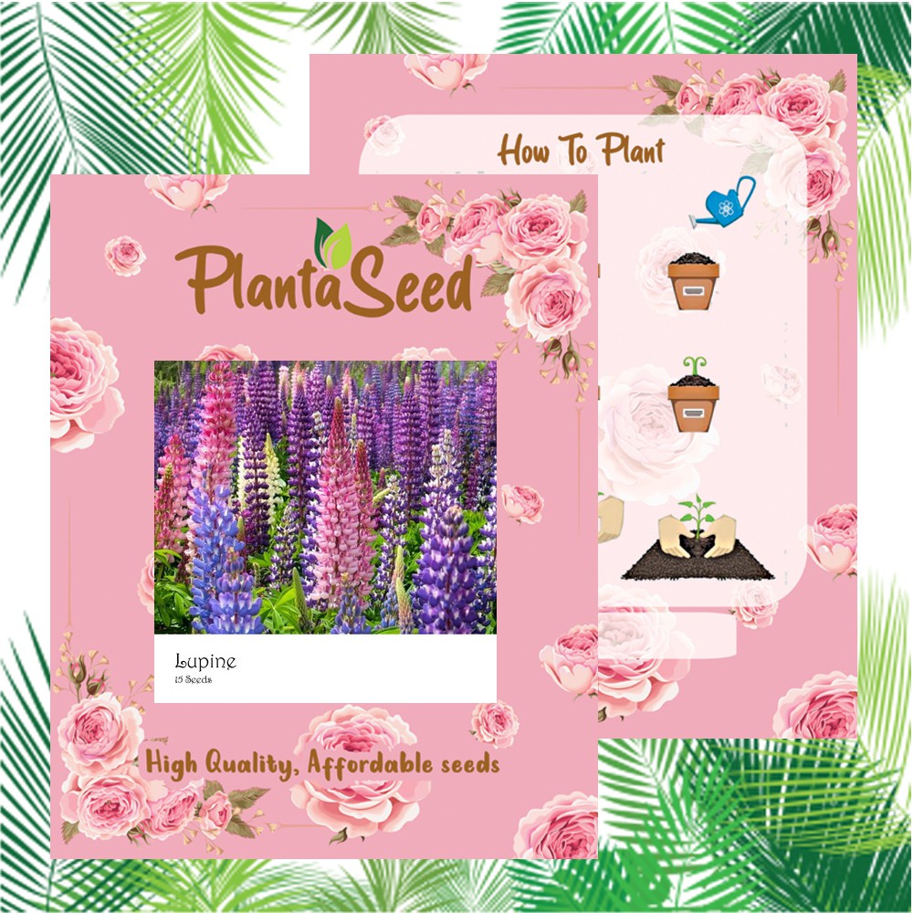 PlantaSeed - 15 Seeds - Lupine Russell Strain Benih Biji Bunga - PAS0192