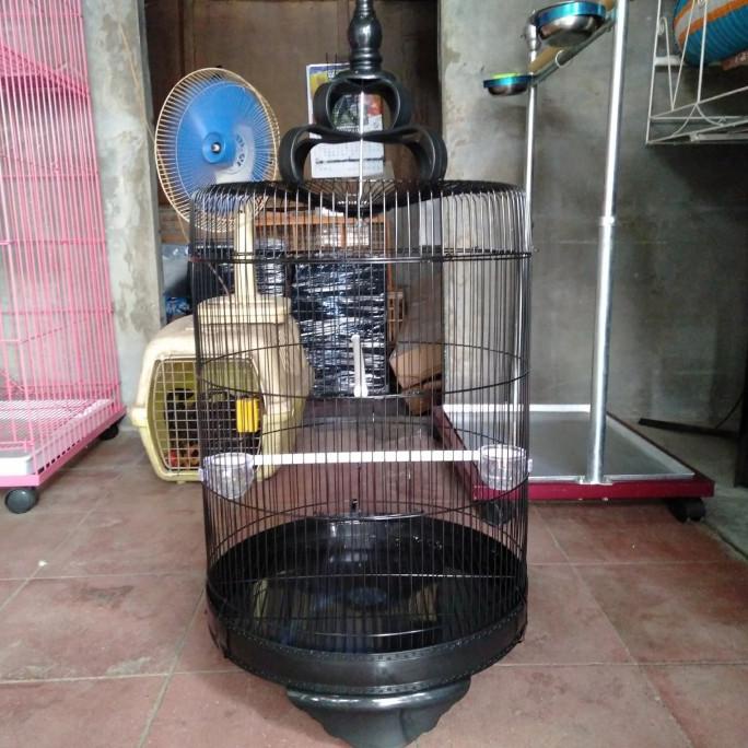sangkar burung lovebird besi jumbo import terlaris