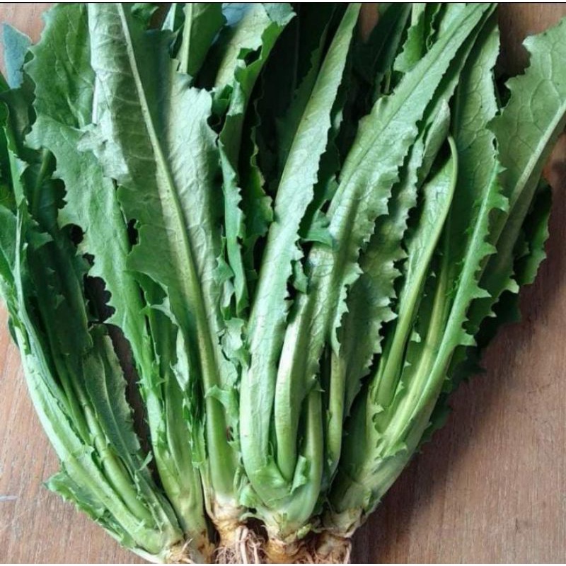 

Siomak/Selada Wangi Organik 500gr