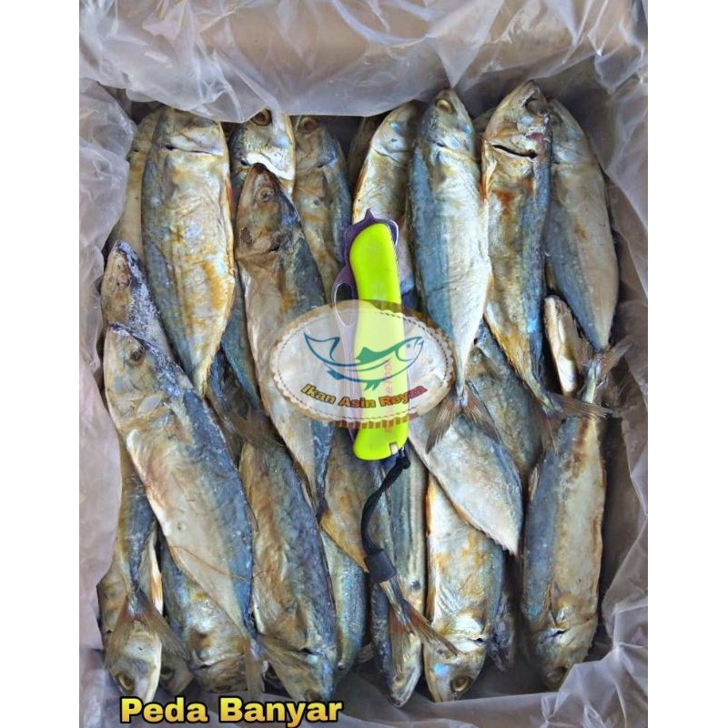 Jual Ikan Asin Peda Banyar 1kg Shopee Indonesia