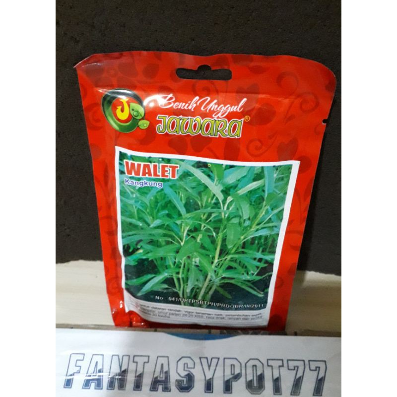 Benih bibit KANGKUNG WALET JAWARA Benih Bibit Kangkung