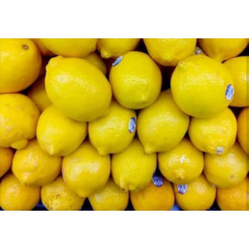 

LEMON 3kg Harga grosir