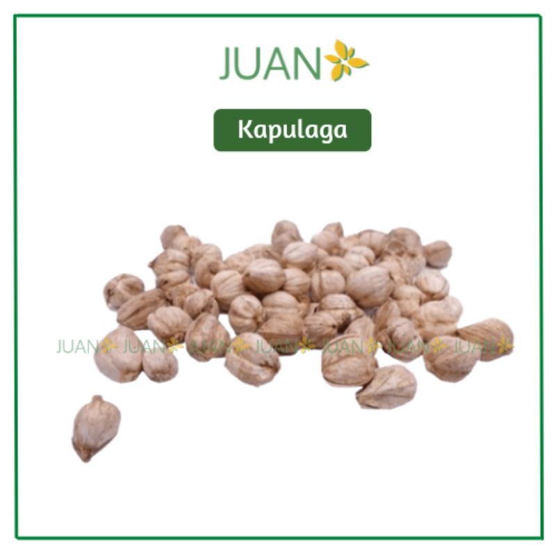 

Kapulaga 35gr - Juan Freshmart