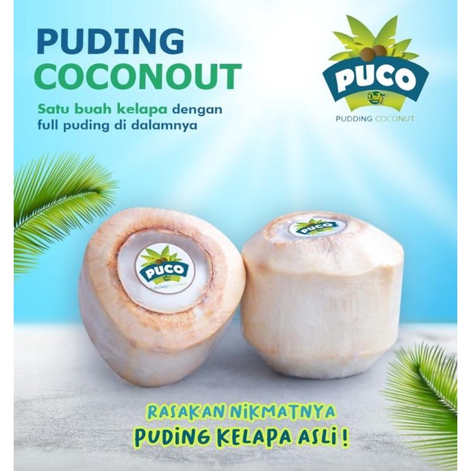 

Puding Kelapa Muda Asli Pudding Coconut Puco Daily Food TERLARIS TERPERCAYA ORIGINAL
