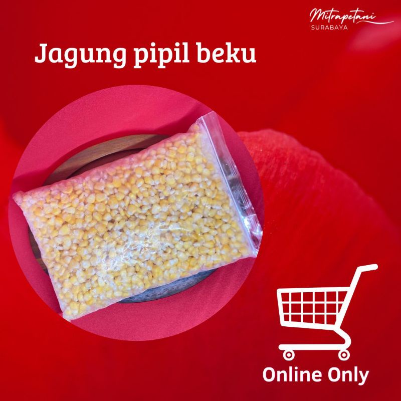 

Jagung pipil,jagung pipil manis beku,jagung pipil frozen