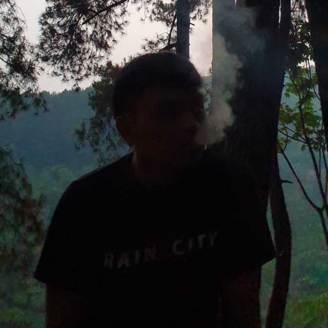 stickcut
