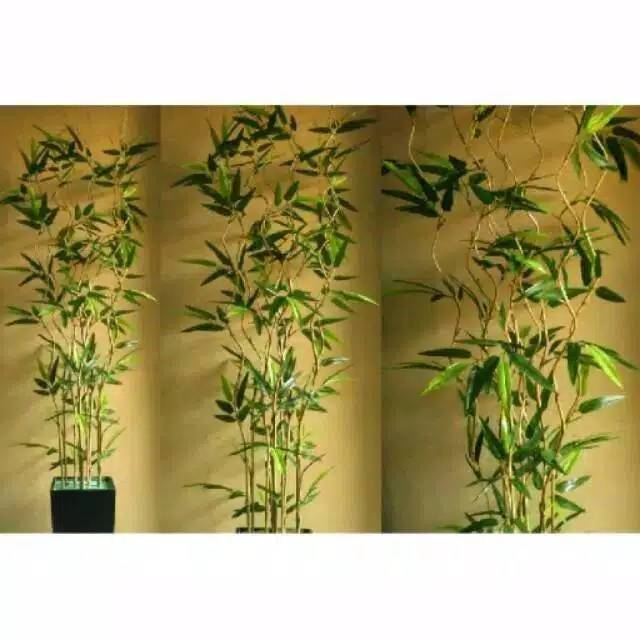 Bambu ulir  cendani motif  daun  bambu Shopee Indonesia