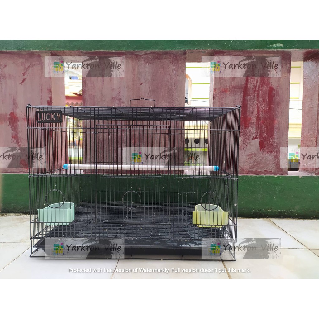 KANDANG KOTAK LOVEBIRD
