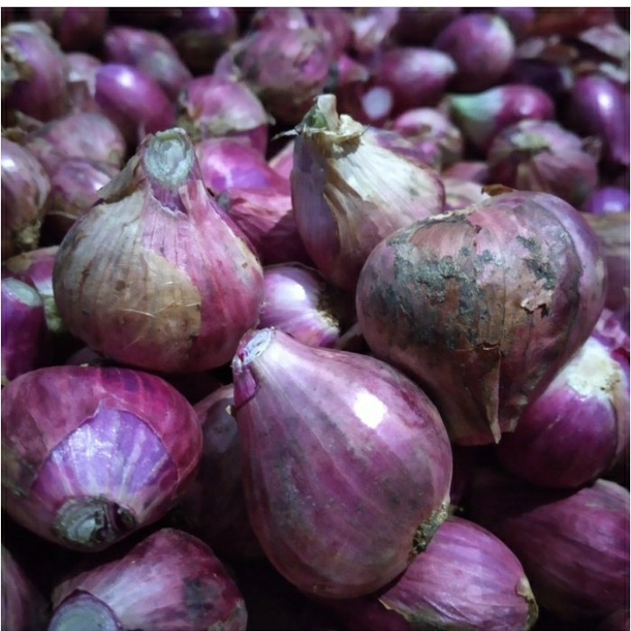 

Siap Kirim Bawang Merah Brebes Besar 1Kg