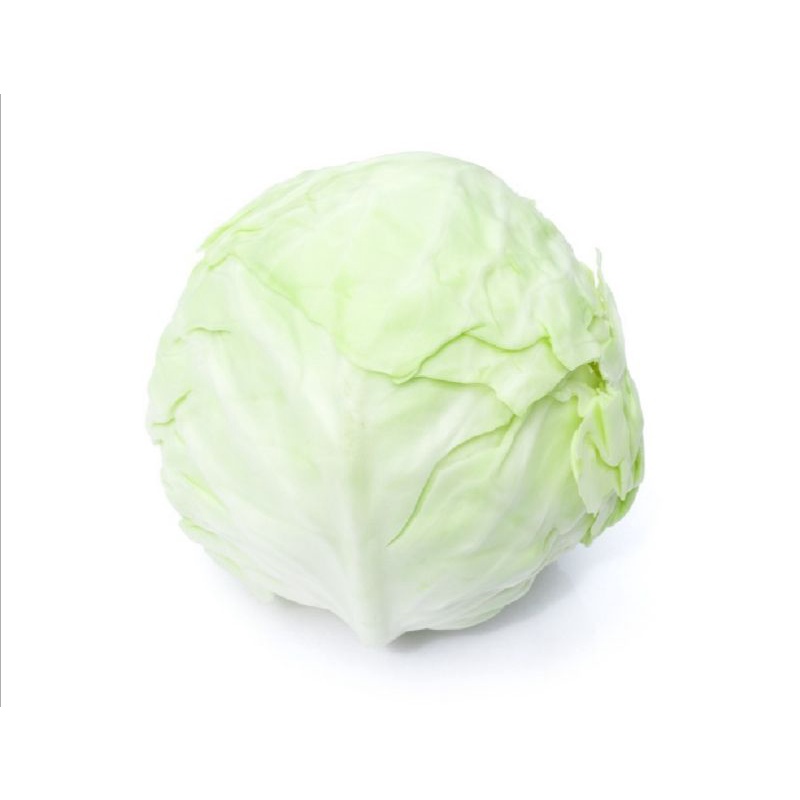 

sayur kol