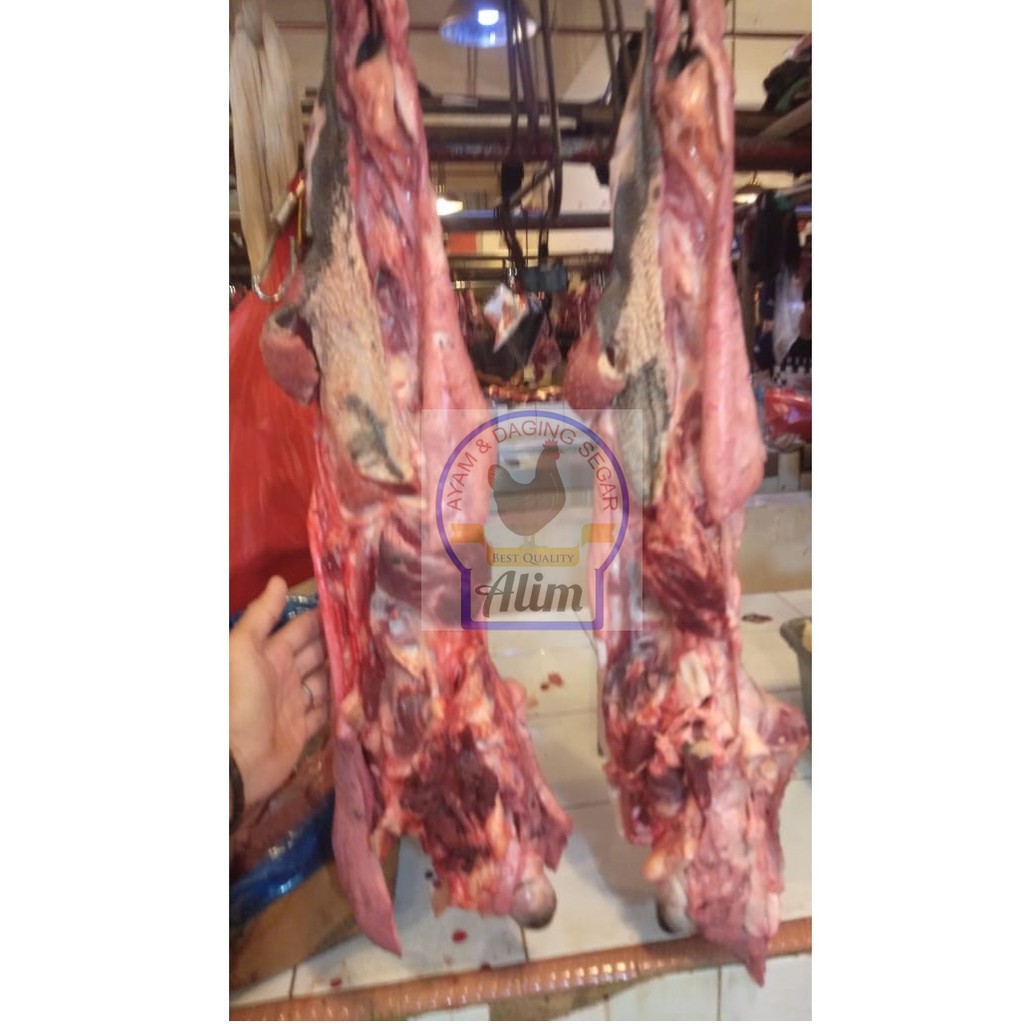 

86. Kepala Sapi (Fresh Cheek Meat)