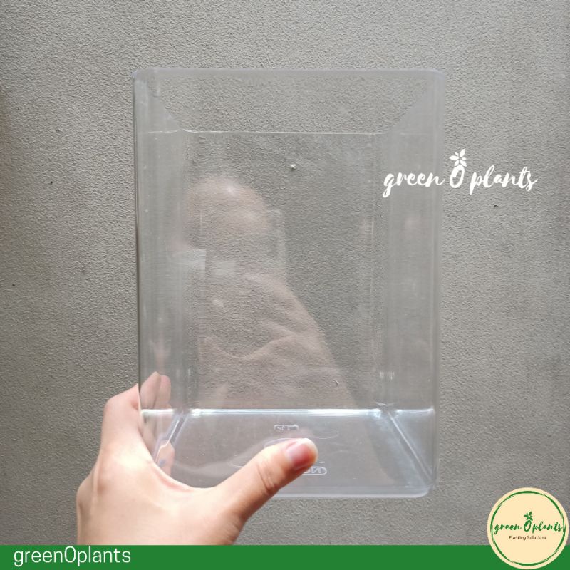 Pot Water Propagation Bening Tanpa Lubang