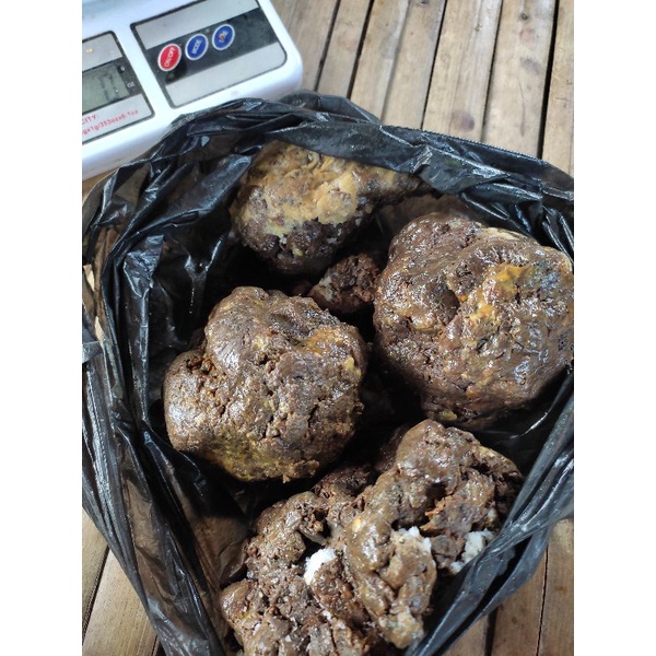 propolis mentah trigona 1kg