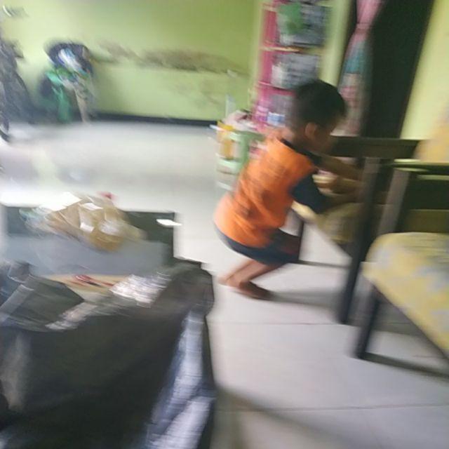 Sprey Homemade Blue Flaminggo