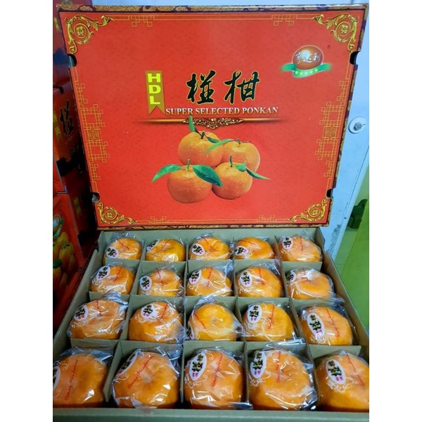 

Buah Jeruk Ponkam HDL size 40