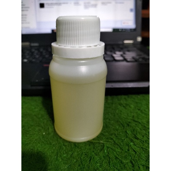 SWEET FENNEL OIL/ADAS 100 PURE ESSENTIAL OIL KEMASAN 100 ML