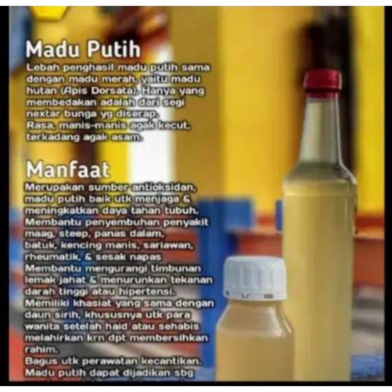 

Madu putih Baduy