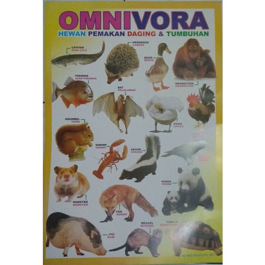 

POSTER EDUKASI ANAK GAMBAR HEWAN