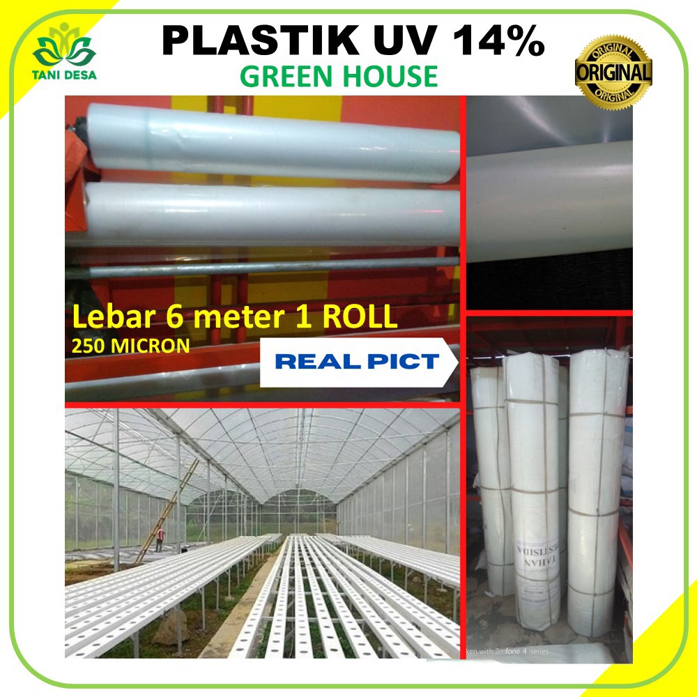 Plastik UV  Green House Lebar 6 Meter x 100 meter 1 ROLL