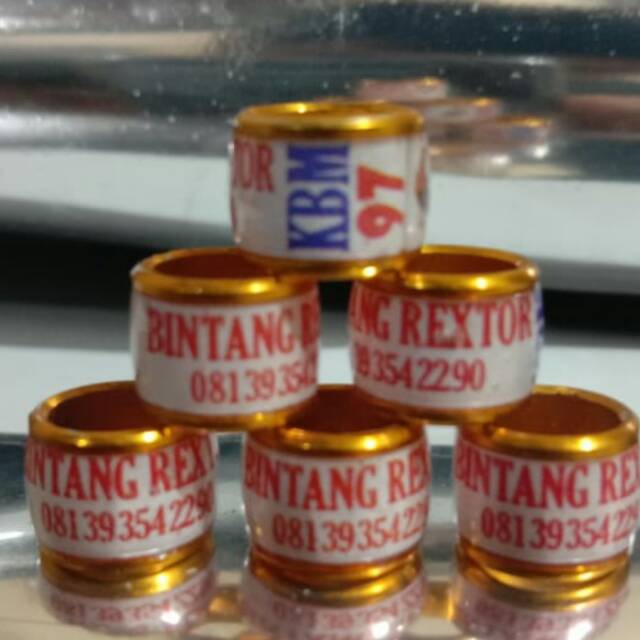 25 BIJI  RING MODEL RODA