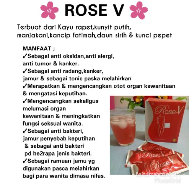 Rose-V 1 box