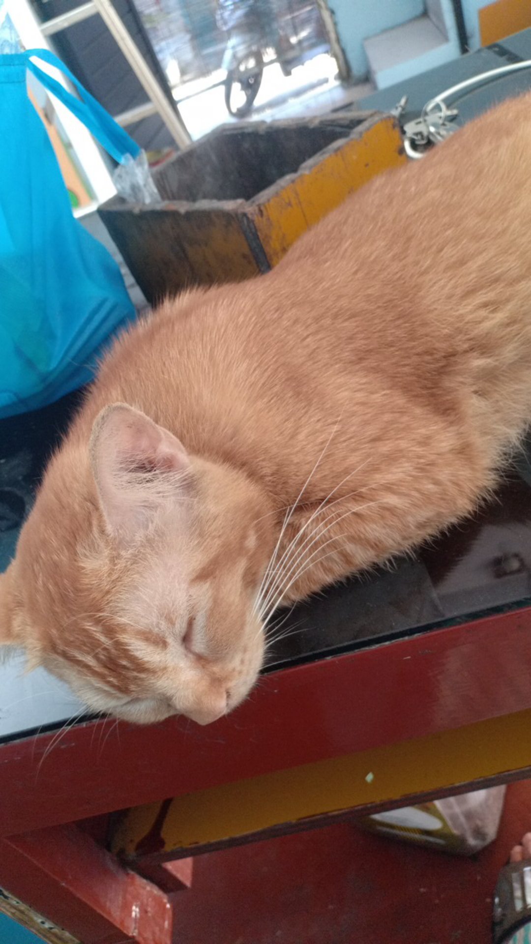 Arfana Navy 2 Atasan Kemeja Batik Pria Lapis Furing Premium Lengan Panjang Batik Rafanda Solo