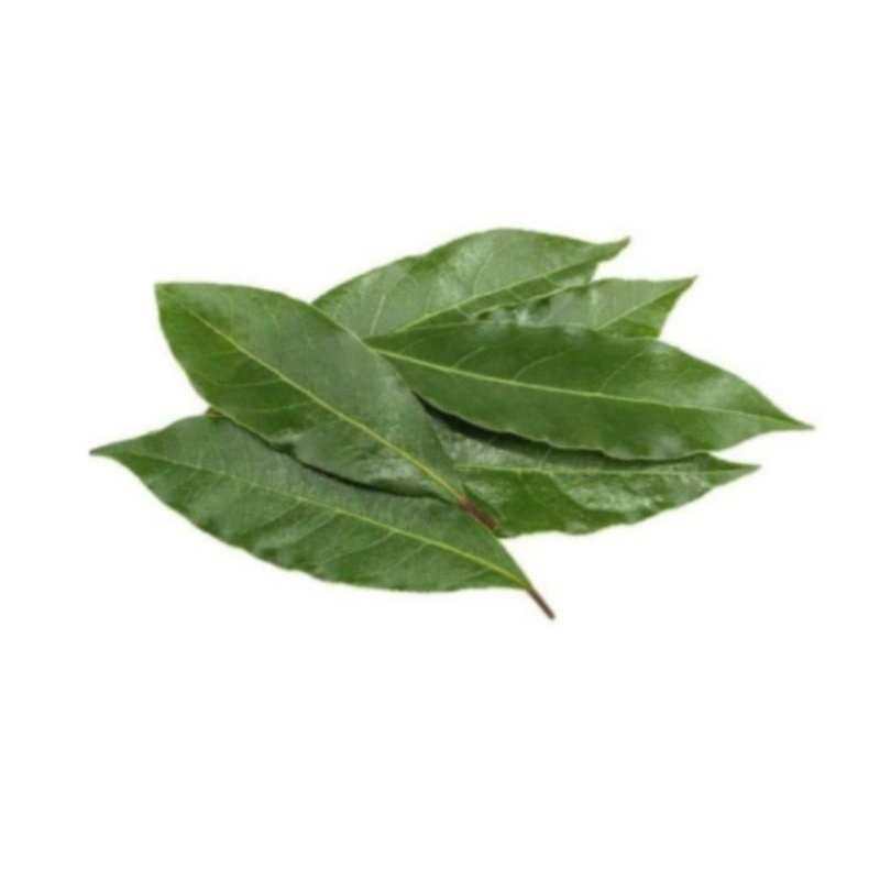 

DAUN SALAM 500 GRAM