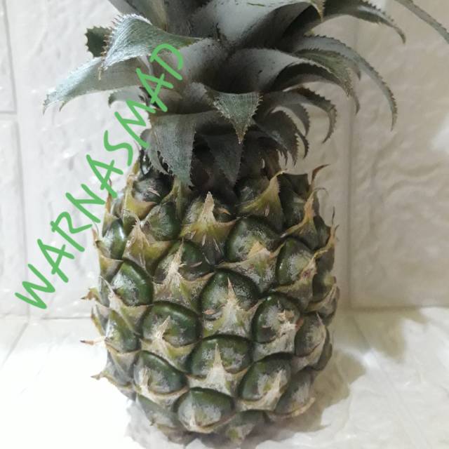 

Nanas madu MENGKAL / TUA pemalang isi 3 buah