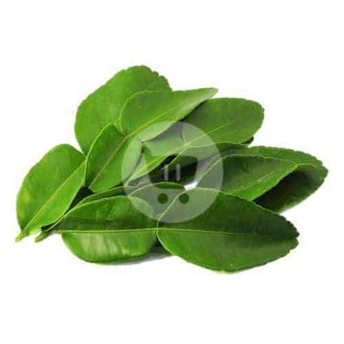 

Daun Jeruk 100 g