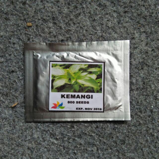 Benih Kemangi Pack 800 Biji - Gp